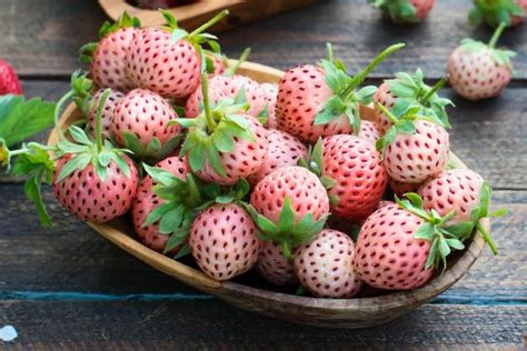 How to Grow Pineberry