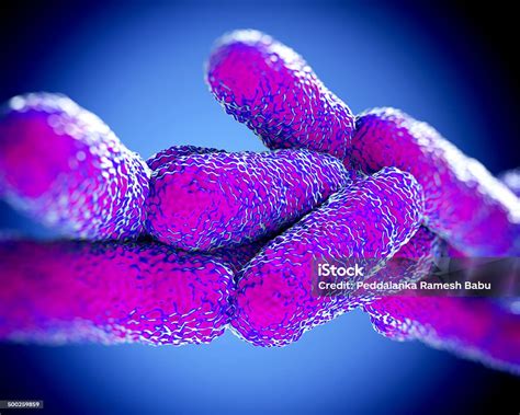 Legionella Pneumophila Bacteria Artwork Stock Photo - Download Image Now - Legionella ...