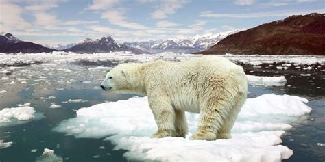 Alerta ambiental: calentamiento, pérdida de biodiversidad y contaminación - Qi Argentina