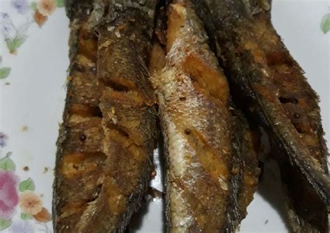 Manfaat Ikan Gabus Untuk Ibu Hamil, Patut Dicoba