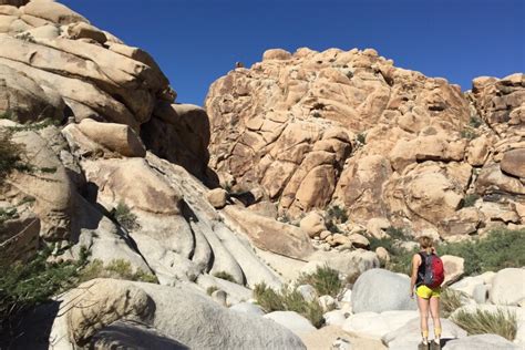 The 14 best desert hikes in Southern California - Los Angeles Times