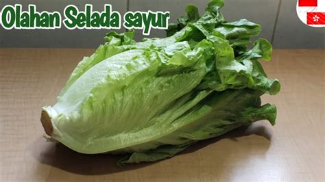 YANG PUNYA SAYUR SELADA WAJIB TAU RESEP INI KALAU INGIN ANAK-ANAK BETAH DIRUMAH - YouTube