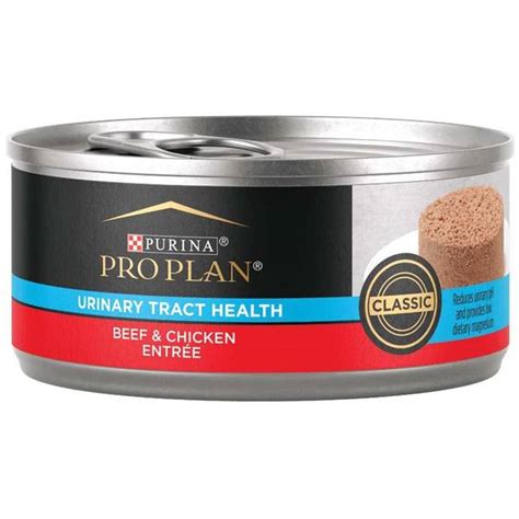 Purina Pro Plan Focus Urinary Tract Health Beef & Chicken Entree Adult Wet Cat Food - 198-356-15 ...