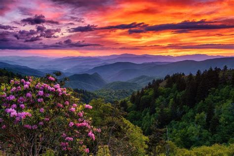 Beginner’s Guide to the North Carolina Mountains - Discover Jackson NC