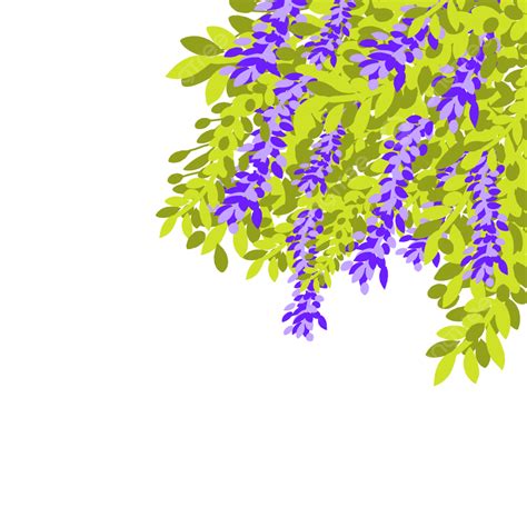 Wisteria Tree PNG Picture, Purple Wisteria Flowers Tree, Purple Wisteria, Wisteria Tree, Purple ...