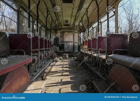 Abandoned School Bus Tram Bus Interior with Leaves Branches Vegetation Stock Image - Image of ...