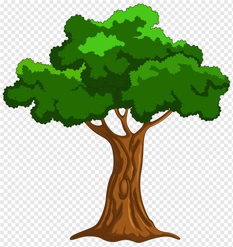 Tree Cartoon Drawing, Cartoon Tree s, leaf, grass, cartoon png | PNGWing