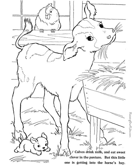 Free Farm Animal Coloring Pages, Download Free Farm Animal Coloring Pages png images, Free ...