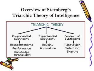 😝 Triarchic theory of intelligence examples. 10 Practical Intelligence Examples (Sternberg's ...