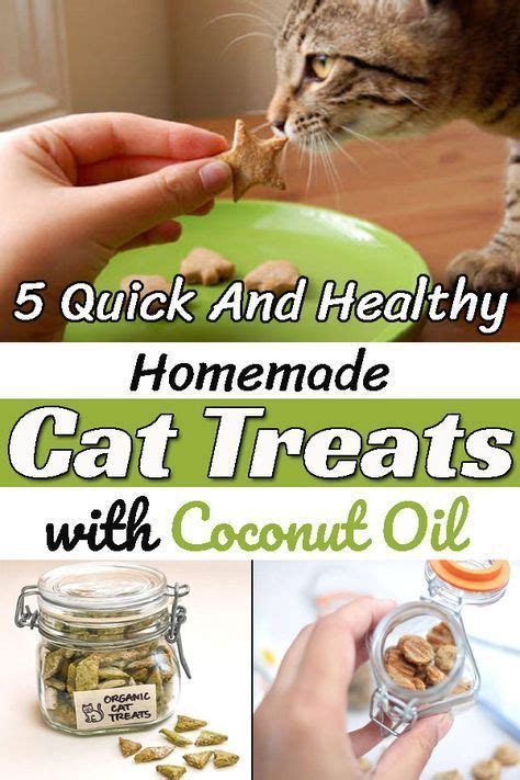 The Best Organic Cat Treats - Pet Food Guide