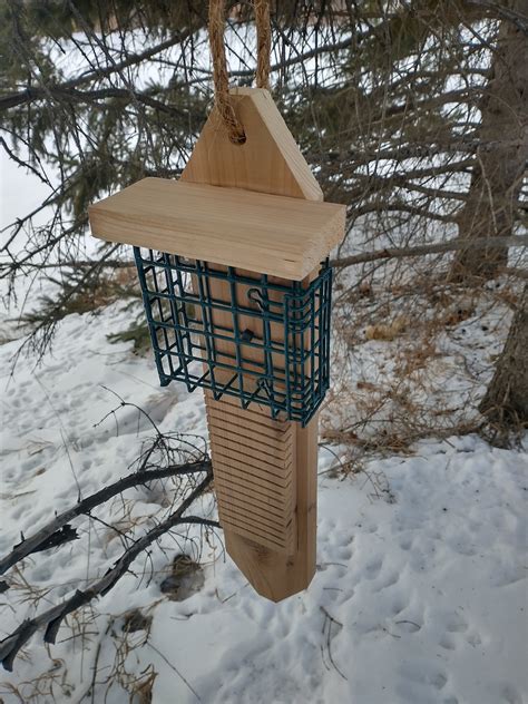 New Single Sided Pileated Woodpecker Suet Feeder With Tail | Etsy