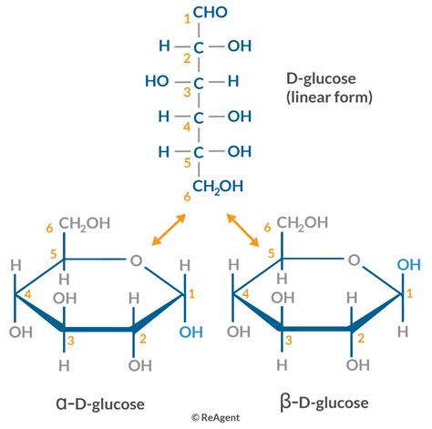 What are the Different Types of Sugar? | ReAgent Chemicals