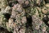 Dark Ghost Train (von Rare Dankness Seeds) :: Cannabis Sorten Infos