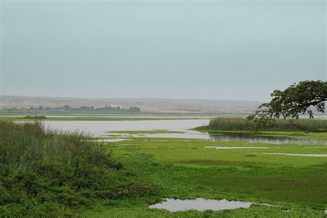 Angola 2012 | Looking back at Bengo River | Louanne Mc Farlane | Flickr