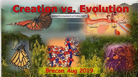 Creation vs all versions of Evolution | Evolution, Creation, Free bible