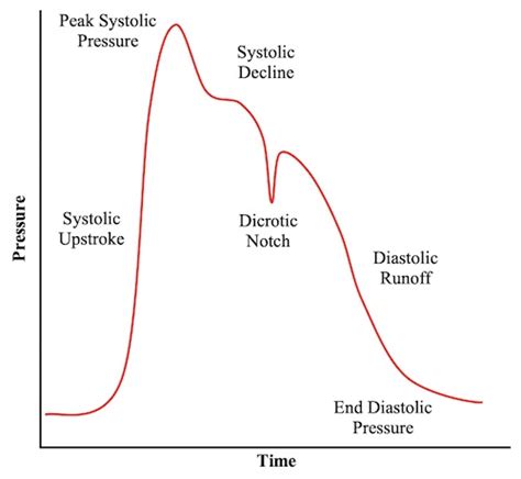 Hemodynamic Monitoring - The Operative Review Of Surgery