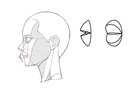 How To Draw A Anime Mouth