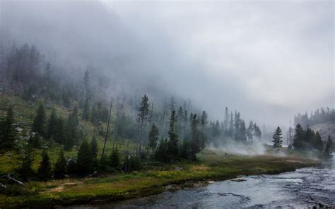 landscape, Nature, Yellowstone National Park, Forest, River, Mist ...