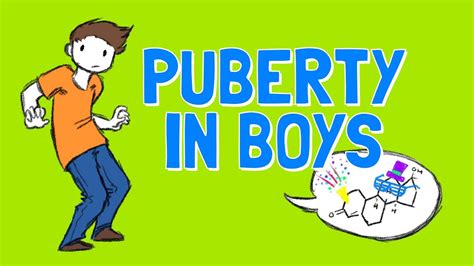 Puberty Stages For Boys Chart