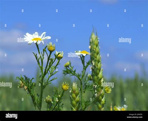 along the way Stock Photo - Alamy