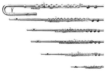 Flute Family - Supercalifragilisticexplialidocious Flute Info!