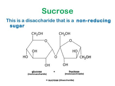 2. carbohydrates