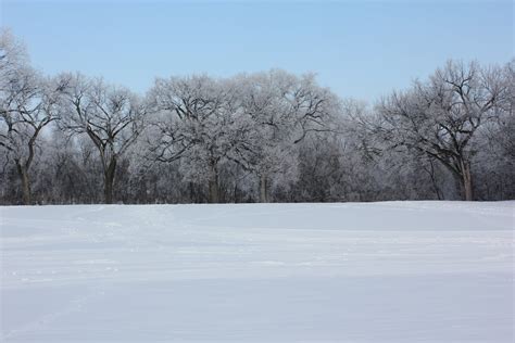 IAWP Region 12 -Western & Northern Canada: Winnipeg Winter Wonderland