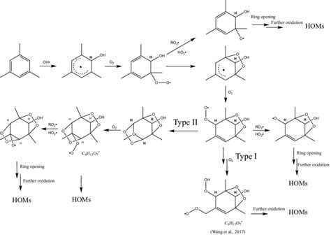 Proposed radical reaction mechanism for the autoxidation of mesitylene.... | Download Scientific ...