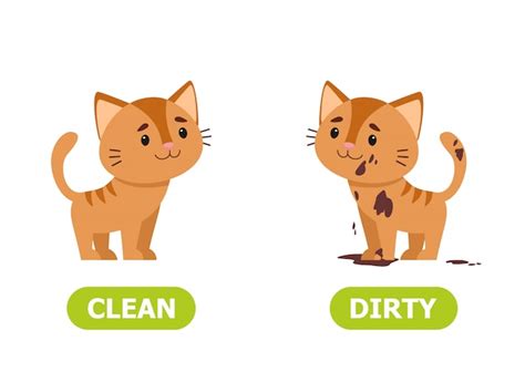 Illustrator of opposites dirty and clean | Premium Vector