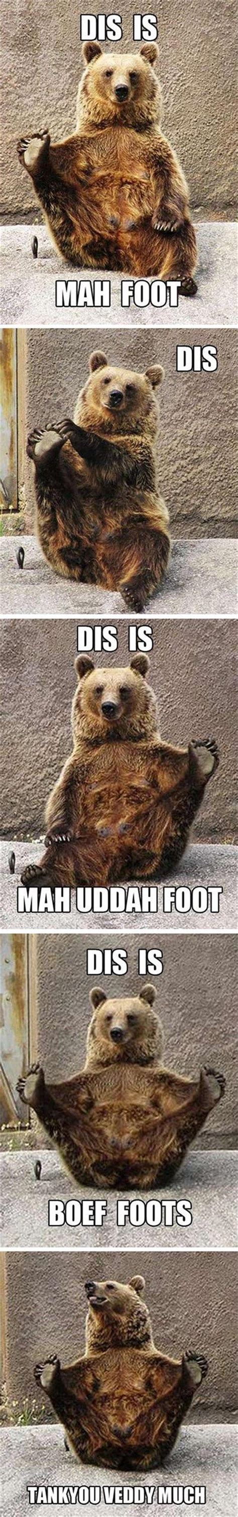 Presentng: An Anatomy Lesson From a Brown Bear | Funny animal memes ...