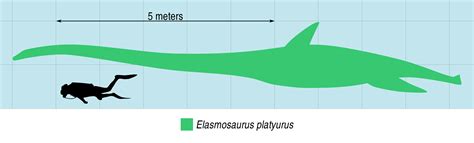 Fossil Of Gigantic Loch Ness Monster Look-Alike Unearthed In Antarctica