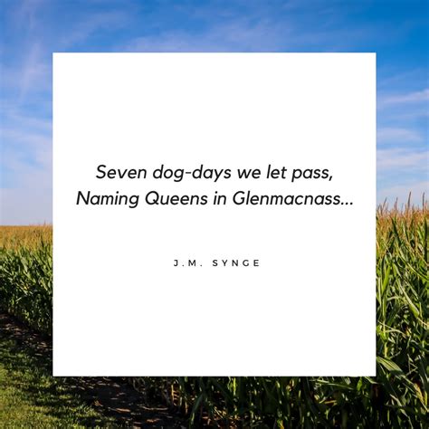 The Best "Dog Days of Summer" Quotes - PuppyLists