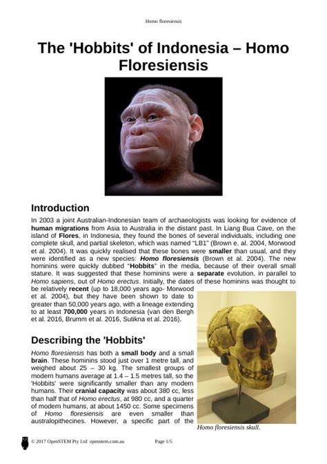 Homo floresiensis | OpenSTEM Pty Ltd