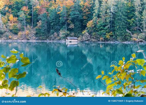 Cabin on the Lake in the Autumn Forest in the Mountains Stock Image ...