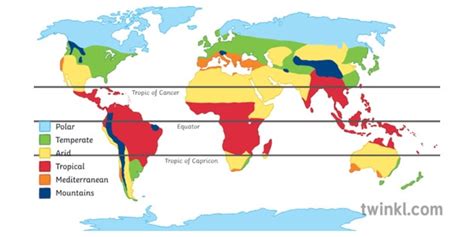 What is the Equator? | Facts, Map, Latitude and Definition | K-5