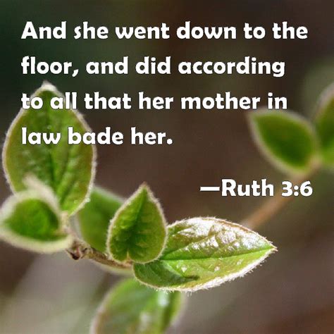 Ruth 3:6 And she went down to the floor, and did according to all that ...