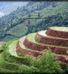 Ian and Wendy's Travel Blog Pictures of China: Longji Rice Terraces - Longshen - Dragon's Spine ...