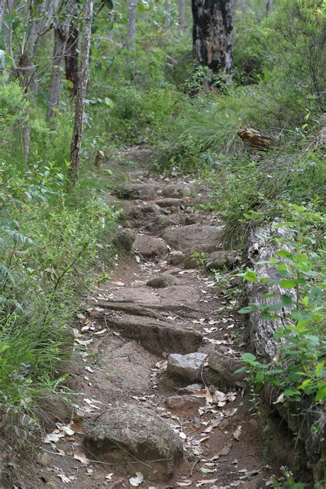 Free picture: sandy, path, sandy, road, desert