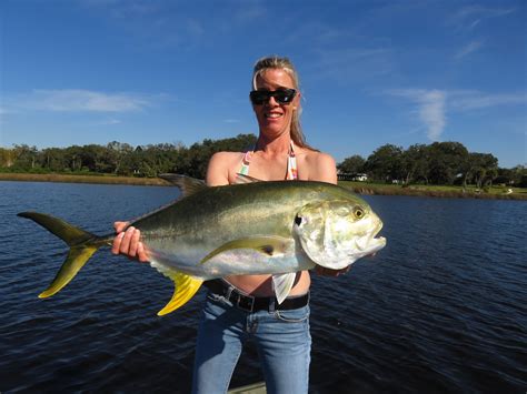 How to Catch Jack Crevalle – Tips from a Florida Guide! – Siesta Key ...