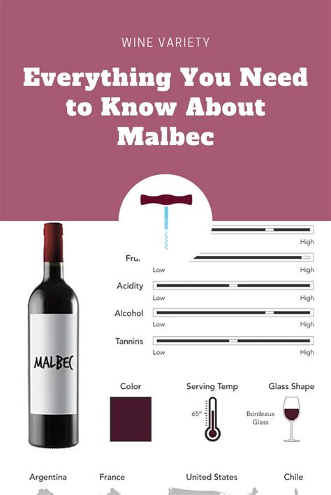 Malbec is the wine grape that put Argentina on the map. Expand your ...