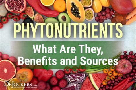 Phytonutrients: What Are They, Benefits and Sources