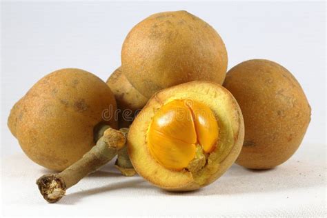 Tampoi Fruit stock image. Image of white, color, baccaurea - 53755733