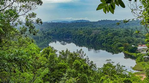 Exploring the Guianas: Unveiling Caribbean South America | LAC Geo