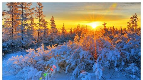 Winter Sunrise Nature Wallpapers - Top Free Winter Sunrise Nature Backgrounds - WallpaperAccess