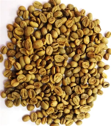 Seeds Robusta,Arabica Green Coffee Bean, Rs 300 /kilogram Saai Anandhaa Exports | ID: 9513233373