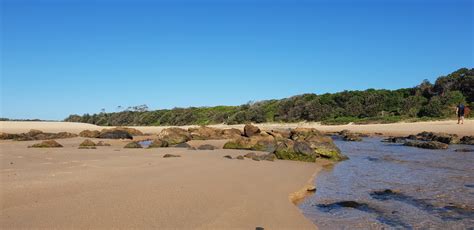 Magical part of the mid north coast : r/australia