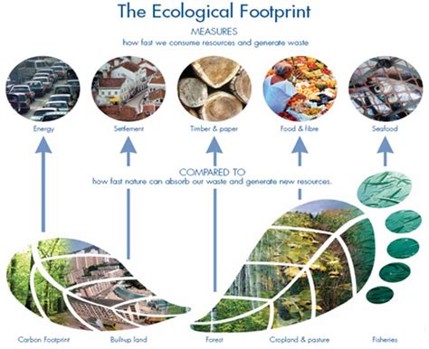 Measure Your Ecological Footprint | Green Prophet