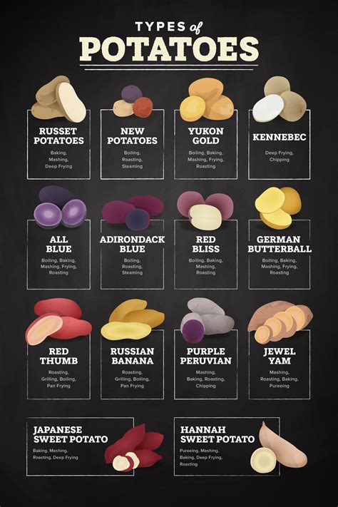 Types of Potatoes | Food infographic, Types of potatoes, Cooking recipes