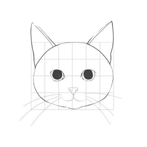 How to draw a cat (1) How to draw a basic face | MediBang Paint - the free digital painting and ...