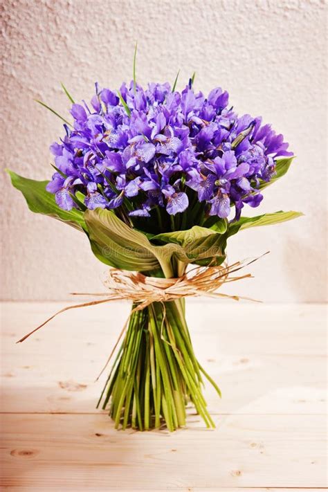 Bouquet of flowers iris stock photo. Image of beautiful - 23257694